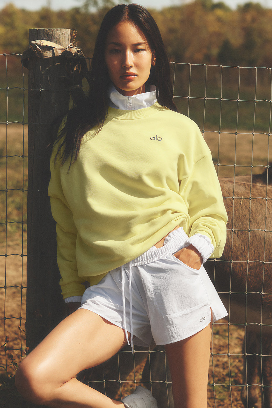 Accolade Crew Neck Pullover