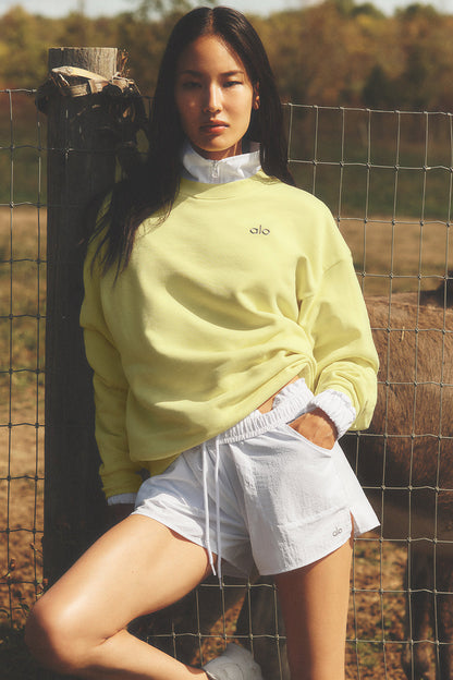 Accolade Crew Neck Pullover